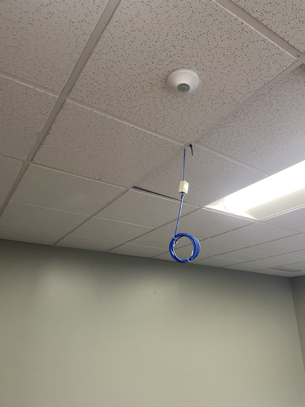 Cable rough-in coiled at the ceiling of an office, ready for trim-out